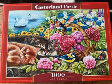 Mooie puzzel beschikbaar voor biedingen