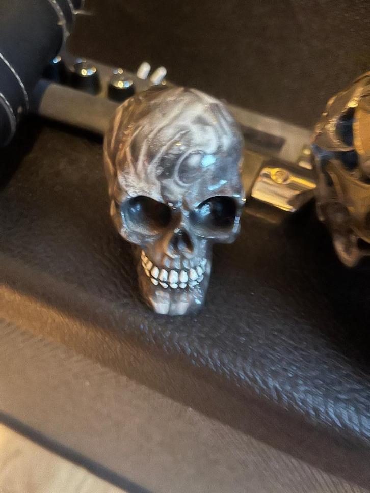 Schedels voor decoratie, Verzamelen, Beelden en Beeldjes, Zo goed als nieuw, Overige typen, Ophalen of Verzenden