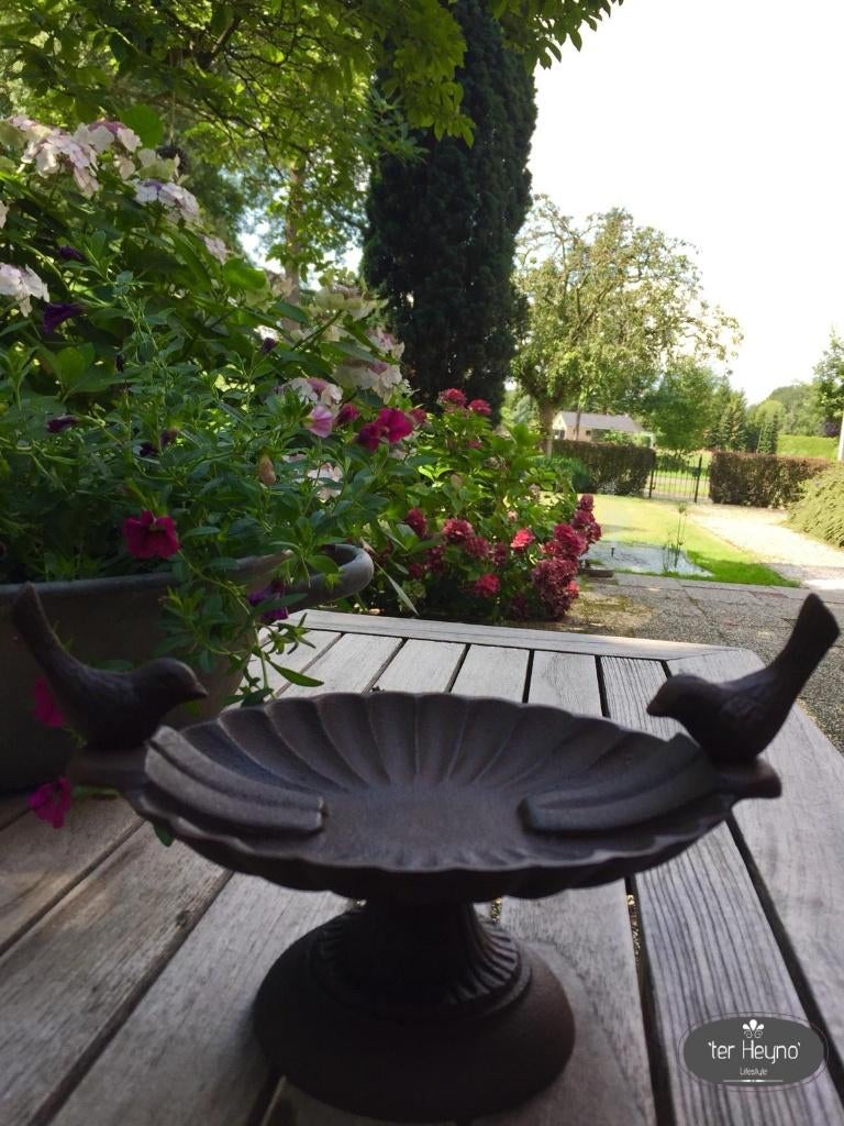 Gietijzeren vogelbad op voet vogel voeder water bakje stoer, Tuin en Terras, Vogelhuisjes en Vogelbaden, Verzenden, Nieuw