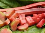 Rabarber AANBOD....🥬🥬... Rood .  4 voor, Tuin en Terras, Planten | Tuinplanten, Ophalen