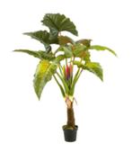 colocasia boom 160cm, Ophalen of Verzenden, Nieuw