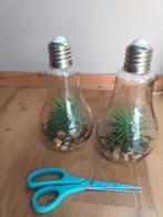 kunstplant, Ophalen of Verzenden, Nieuw, Binnen