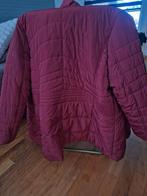 Dames winterjas, Ophalen of Verzenden, Zo goed als nieuw, Maat 46/48 (XL) of groter, Zwart