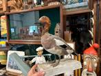 Opgezette smient, Verzamelen, Dierenverzamelingen, Ophalen of Verzenden, Zo goed als nieuw, Vogel, Opgezet dier