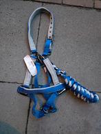 Anky halsterset blauw, Dieren en Toebehoren, Ophalen of Verzenden, Nieuw, Overige soorten