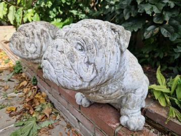 2 Unieke betonnen + 2 kunststof Engelse buldog honden +meer. beschikbaar voor biedingen