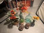 Kunstbloemen en Glazen Vazen Set, Ophalen, Overige soorten, Halfschaduw, In pot