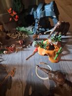 Playmobil Prehistorie Set, Kinderen en Baby's, Speelgoed | Playmobil, Ophalen of Verzenden, Gebruikt, Complete set