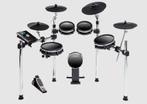 Alesis DM10 MKII Pro E-Drum Kit + Roland PM-10 + Extra's, Muziek en Instrumenten, Ophalen of Verzenden, Zo goed als nieuw, Elektronisch