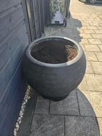 Capi bloempot met trolley zwart 62(b)48(h) Opening 40, Tuin en Terras, Bloembakken en Plantenbakken, Ophalen, Tuin, Kunststof