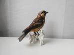 Goebel Porselein Vogel: Mus, Verzamelen, Beelden en Beeldjes, Ophalen of Verzenden, Gebruikt, Dier
