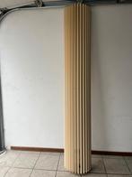 Verticale design radiator - Jaga Iguana Circo, Doe-het-zelf en Verbouw, Verwarming en Radiatoren, Ophalen, Gebruikt, Radiator