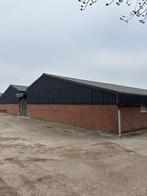 Golfplaten uit 2021 [534], Boekhorst Trading, Info@boekhorsttrading.com, Singel 16, Horssen