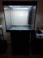 Juwel Lido 200 met Helialux Spectrum + app controller., Dieren en Toebehoren, Ophalen, Zo goed als nieuw, Leeg aquarium