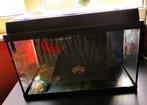 Juwel de luxe aquarium te koop – Compleet met Accessoires!, Dieren en Toebehoren, Ophalen, Gebruikt, Leeg aquarium