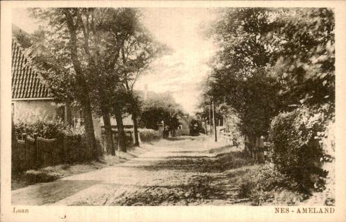Laan in Nes-Ameland, Verzamelen, Ansichtkaarten | Nederland, Ongelopen, Friesland, Voor 1920, Ophalen of Verzenden