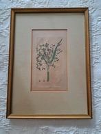 Bladzijde uit oud boek, zie details, Ophalen of Verzenden