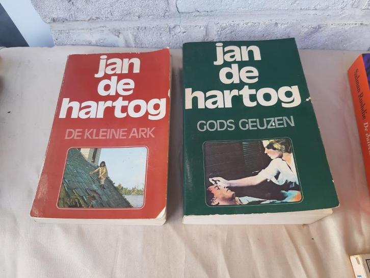 Gods geuzen , de Kleine Ark- Jan de Hartog, Boeken, Romans, Zo goed als nieuw, Nederland, Ophalen