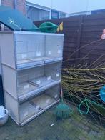 Aluminium Uitvlieg kooien, Dieren en Toebehoren, Ophalen, Zo goed als nieuw, Aluminium, Broedkooi of Kweekkooi