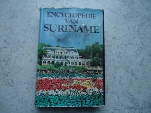 Zeer interessant dik boek Suriname 1977 Prof. J. Voorhoeve, Boeken, Geschiedenis | Vaderland, Zo goed als nieuw, 20e eeuw of later