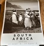 2x poster Kaapstad & south Africa pinguïns, Ophalen of Verzenden, Nieuw