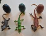 Hagedis Eierspeeltjes Set, Ophalen of Verzenden, Zo goed als nieuw, Jongen of Meisje