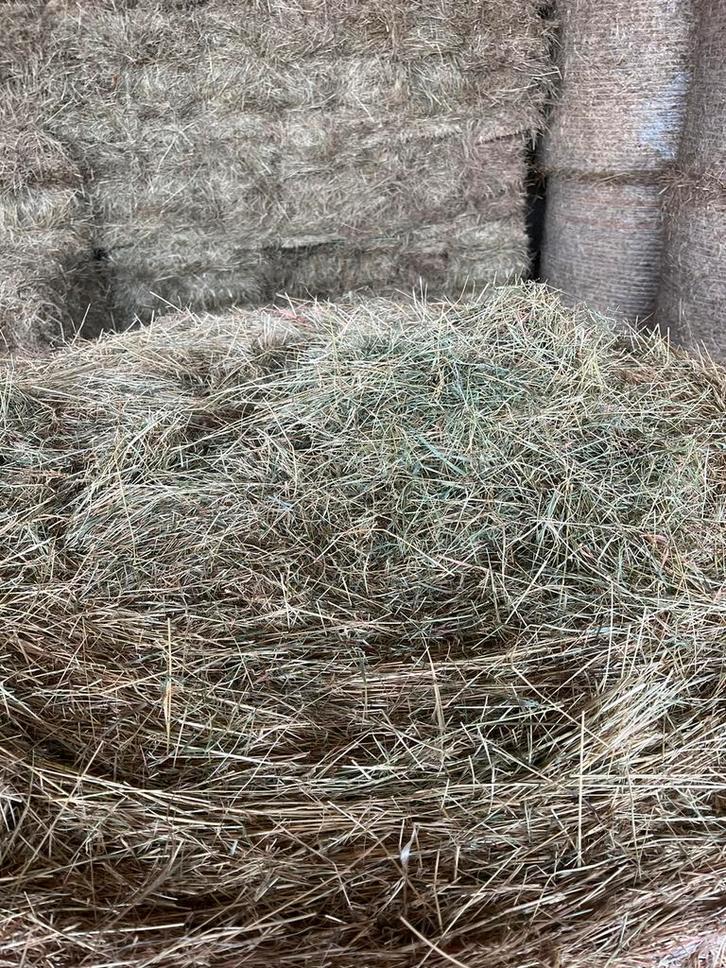 Hooi rollen, Dieren en Toebehoren, Dierenvoeding, Vee, Ophalen