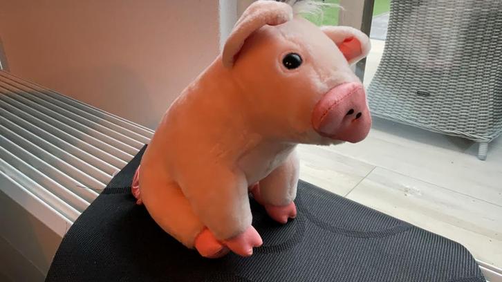 Playskool 1995  - Babe uit de film, Verzamelen, Speelgoed, Zo goed als nieuw, Ophalen of Verzenden