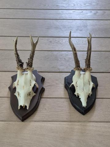 2 Mooie Ree Geweien samen € 18 Mancave Jacht Landelijk c87 beschikbaar voor biedingen