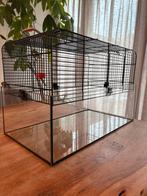 Hamsterkooi te koop, Dieren en Toebehoren, Knaagdieren, Hamster, Februari, Mannelijk, Tam