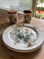 Villeroy en boch servies, Antiek en Kunst, Ophalen of Verzenden