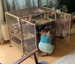 Little Zoo Venturer Kooi Onderkant, Dieren en Toebehoren, Ophalen, Zo goed als nieuw, Kooi