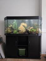Juwel aquarium, Dieren en Toebehoren, Vissen | Aquaria en Toebehoren, Ophalen, Gebruikt