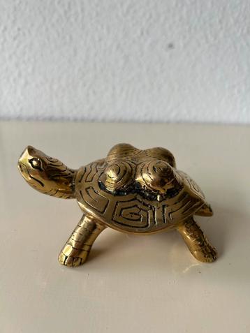 Bronzen Schild mooi gepolijsd, turtle Tortuga Verzamelaars beschikbaar voor biedingen