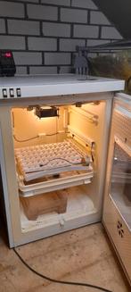 Broedmachine, Geslacht onbekend