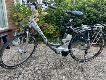 Afgeleide van de Fluyer / victoria beschikbaar voor biedingen