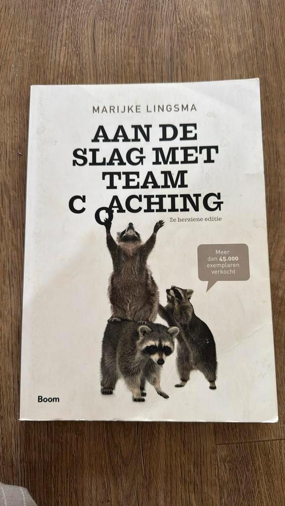 Marijke Lingsma - Aan de slag met teamcoaching, Boeken, Advies, Hulp en Training, Zo goed als nieuw, Ophalen of Verzenden