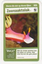 Super dieren no.33 Zeenaaktslak [2692]  [VeOvSu], Albert Heijn, Ophalen of Verzenden