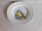 Bord 16 cm. Pimpelmees Tjilp tjilp Theo, Huis en Inrichting, Keuken | Servies, Ophalen of Verzenden, Zo goed als nieuw, Bord(en)