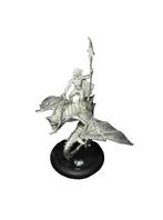 Warmachine Hordes Blighted Nyss Sorceress & Hellion, Hobby en Vrije tijd, Wargaming, ., Warhammer, Ophalen of Verzenden, Zo goed als nieuw