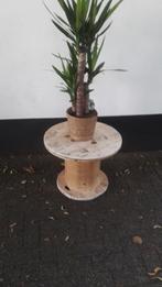 Bijzet tafel tafeltjes, Minder dan 55 cm, Gebruikt, Rond, Hout