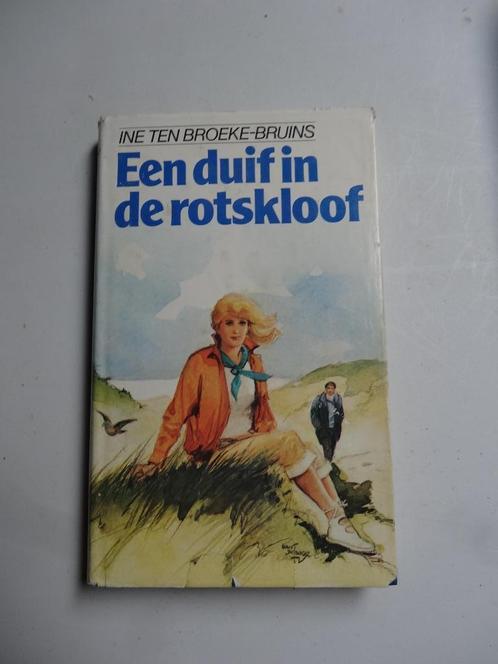 Een duif in de rotskloof- Ine ten broeke-bruins, Boeken, Romans, Gelezen, Nederland, Ophalen of Verzenden
