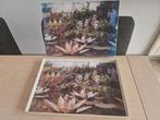 Vintage Efteling De Indische waterlelies puzzel puzzle 100st, Verzamelen, Efteling, Ophalen of Verzenden, Gebruikt, Overige typen