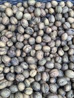 Bio walnoten 2025, Ophalen of Verzenden