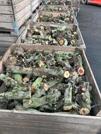 Gedroogd appelhout haardhout, Minder dan 3 m³, Ophalen of Verzenden