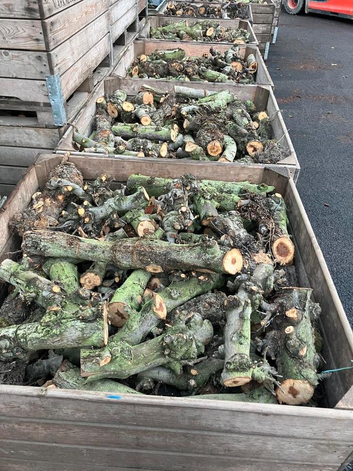 Gedroogd appelhout haardhout, Tuin en Terras, Haardhout, Minder dan 3 m³, Ophalen of Verzenden