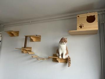 Klimmuur katten zo goed als nieuw beschikbaar voor biedingen