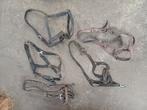 5 halsters full, Dieren en Toebehoren, Paarden en Pony's | Hoofdstellen en Tuigage, Ophalen of Verzenden, Overige soorten