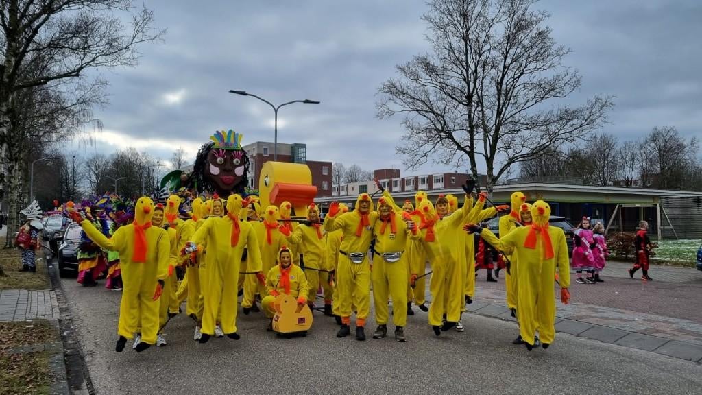 Carnaval loopgroep eendjes, Ophalen, Gebruikt, Kostuum, Carnaval