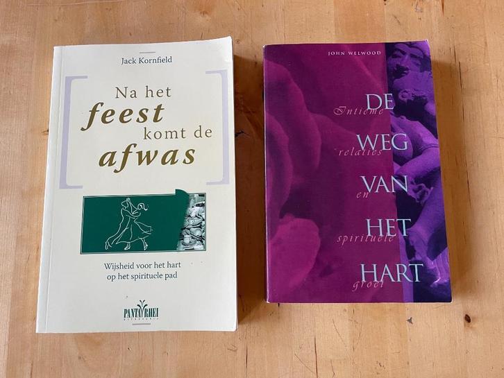 Na het feest komt de afwas - Jack Kornfield, Boeken, Esoterie en Spiritualiteit, Gelezen, Achtergrond en Informatie, Ophalen of Verzenden